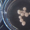 在盤子里種植的迷你大腦中檢測到腦波