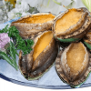 平時餐桌上鮑魚是真正的魚嗎 
