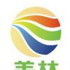 Ignis轉向SOR以應對艱難的交易條件