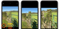 如何在蘋果iPhone 11 Pro和iPhone 11 Pro Max的縱向模式下切換焦距