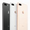 蘋果手機iPhone 8 PLUS和iPad上安裝應用程序時 如何停止煩人的驗證要求提示