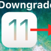 如何在iPhone和iPad上將iOS 11降級到iOS 10.3.3