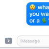 如何在iPhone上的消息中將文本轉換為表情符號