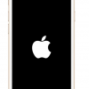 iPhone卡在Apple徽標上了嗎 這是4種修復方法