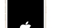iPhone卡在Apple徽標上了嗎 這是4種修復方法