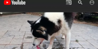 使用適用于Android的“YouTube Vanced”獲取YouTube的黑暗模式