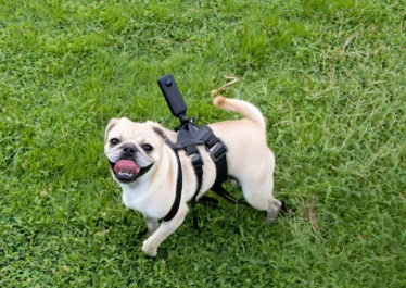 Insta360可讓您以自動穩定和電影慢動作拍攝360度視頻