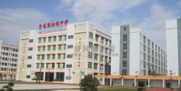 廣東省東莞市萬江藝林小學怎么樣