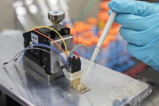 低成本的塑料傳感器可以監測各種健康狀況