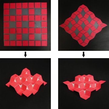 新技術使用模板來指導自折疊3D結構