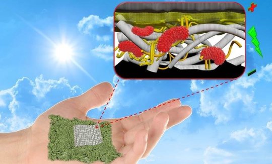 科學家們創造了可生物降解的紙質生物電池