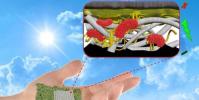 科學家們創造了可生物降解的紙質生物電池