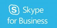 新的Skype for Web是實時的 除非您使用Safari Firefox Opera