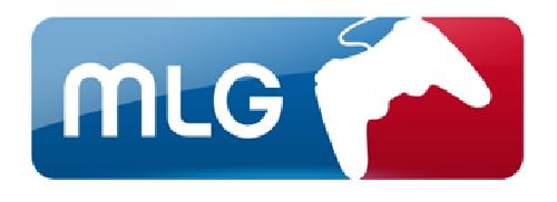 MLG聯合創始人組成電子競技集團進行電子競技交易
