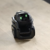 Anki的Vector 可愛的迷你機器人 正在獲得Alexa