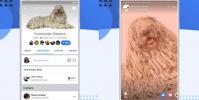 Facebook集團故事現已全球上市