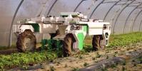 Bakus葡萄種植機器人將在2019年展示的創新