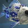 瑞士研究人員建造了一種其他魚類將遵循的機器魚
