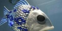 瑞士研究人員建造了一種其他魚類將遵循的機器魚