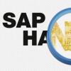 SAP HANA必須消除對許可和技能的擔憂