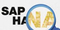 SAP HANA必須消除對許可和技能的擔憂