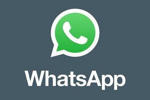 WhatsApp在Apple iPad的獨立應用程序上工作
