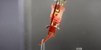 來自機器人:改善生物肌肉與機器人的融合