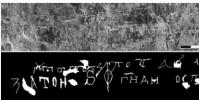 人工智能研究項目分類的11世紀字形