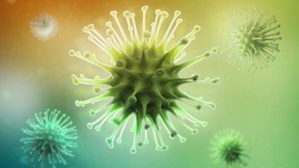 身體的混亂可以調節你的免疫系統