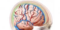 人工智能和語音合成器已將大腦活動轉化為機器人詞匯