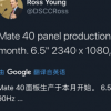 華為Mate40的屏幕將于本月開始生產