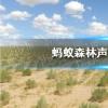 螞蟻莊園生活問答：螞蟻森林聲明說了什么