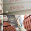 科技熱點：看看這些栩栩如生的Android44KitKat雕像的照片