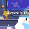 螞蟻莊園生活問答：在避震自救瞬間人們的首先選擇是