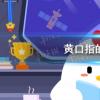 螞蟻莊園生活問答：黃口指的是什么