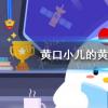 螞蟻莊園生活問答：黃口小兒的黃口是什么意思
