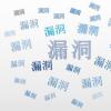 利用漏洞仍然需要做一些工作才能使其更加穩定