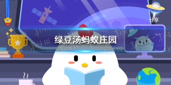 游俠網1