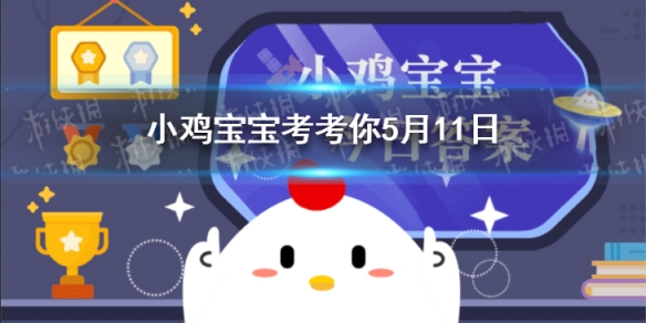游俠網1