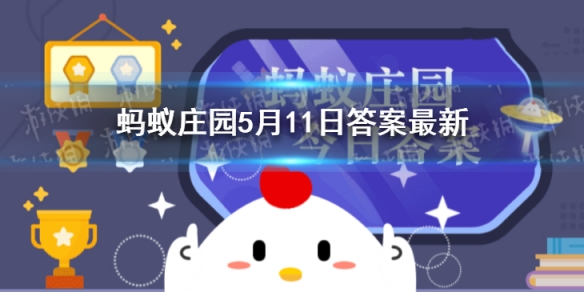 游俠網1