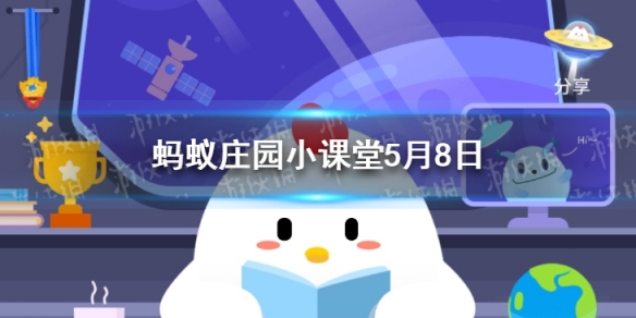 游俠網1