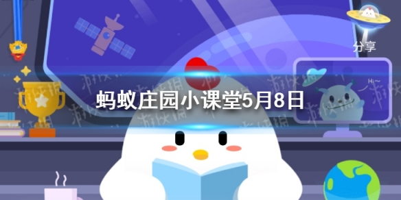 游俠網1