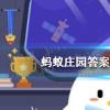 螞蟻莊園生活問答：旅游時遇到山泉水有些人認為其水質更好而直接飲用,這么做