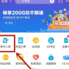 進入攜號入網頁面之后用戶需要輸入手機號進行核驗