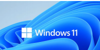 新的Windows 11 Insider版本提供了有趣的附加功能