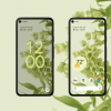 您可以用臉控制Android 12手機嗎