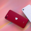 蘋果不會在2021年更新iPhone SE