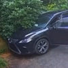 觀看熊試圖提升雷克薩斯跨界車