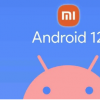 Android 12帶來了許多增強功能和操作系統設計的重大改革