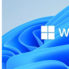 Citrix確認其虛擬機軟件最終將運行Windows11